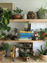 Caring For Indoor Plants In Low Light Conditions Architectural Digest