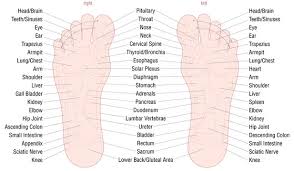 Endometriosis can result in lower back pain that is sporadic, sharp and stabbing. Foot Reflexology Zone Massage Chart With Areas And Names Of The Corresponding Internal Organs And Body Parts Skin Color Vector Illustration On White Background Stock Vector Adobe Stock