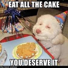Top 100 Funniest Happy Birthday Memes Most Popular Happy Birthday Dog Happy Animals Dog Birthday