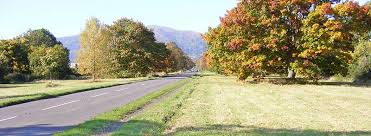 South Worcestershire Development Plan Review