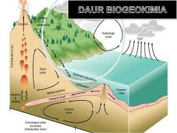 We did not find results for: Macam Macam Daur Biogeokimia Beserta Proses Dan Gambar Pelajaran Sekolah Online