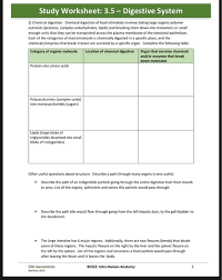Also inside the mouth, amylase (for digesting starch) can be found, produced by the salivary glands. Solved Study Worksheet 3 5 Digestive System 2 Chemical Chegg Com