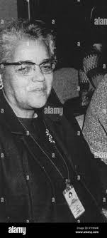 African american female mathematician hi-res stock photography and images