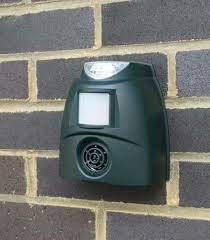 Sekarang musim buah, ni cara halau kera, guna belacan, padanlah ada peribahasa. Bird Repeller Pro Alat Halau Burung Kelawar Dan Tikus Posts Facebook