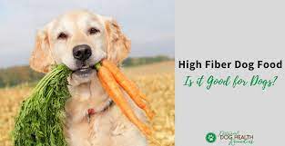 What fiber is good for dogs. Is High Fiber Dog Food Good For Dogs