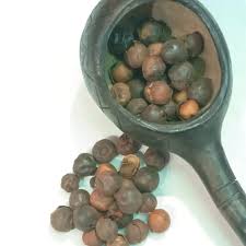 Image result for Afrostyrax lepidophyllus