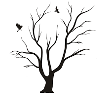 Arbol Sin Hojas Para Colorear