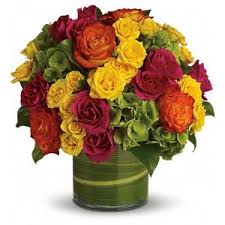 Maybe you would like to learn more about one of these? Flowers San Carlos Florist Redwood City Florist San Carlos Flower Delivery