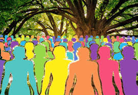 Image result for Quassia undulata