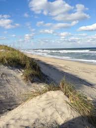 dunes on pea island picture of pea island national