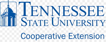 These images are for use by professional journalists in preparing news reports and other publications. Educational Background Png Download 2500 962 Free Transparent Tennessee State University Png Download Cleanpng Kisspng