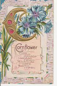 Letter C Cornflower Alphabet Greeting Constancy Flower Jewels Embossed Postcard Flower Alphabet Print Collage Postcard