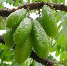 Pin On Exotic Fruits Other Super Foods