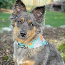 We did not find results for: Stories Blog Joel Ballezza