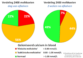 Wij laten zien hoe wij een ct scan van een grote bordeaux dog maken. Calciumgebrek Gevaarlijke Ijsberg Voor Melkveehouders Blue4green S Blog