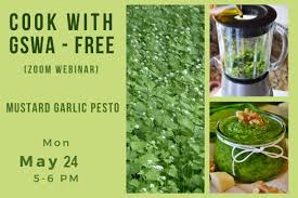 Apr 26, 2021 · invasive garlic mustard hurts native species—but its harmful powers wane over time. Cook With Gswa Garlic Mustard Pesto Beyond Gswa