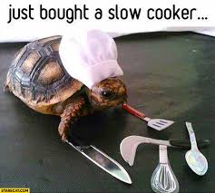 Maybe you would like to learn more about one of these? Turtles Memes Starecat Com