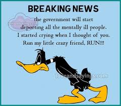 Breaking News Funny Cartoon Quotes Sarcastic Quotes Funny Funny Quotes