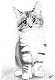 Kat schattige dieren tekenen makkelijk. Bagheera Kitten Drawing Animal Drawings Cat Drawing