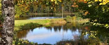 Kristianstad kommun kommunen har arbetat långsiktigt med heltidsfrågan. Fischen In Kristianstad Kommun