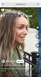 Karen: “I think it's important to understand what the common wealth is  accusing me of… the speed? The positioning?” No, dumbass. The Commonwealth:  “The ultimate issue is manslaughter or mens rea for