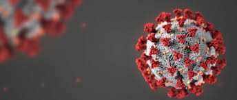 Find out where the virus has spread, and where it has been most deadly. Novel Corona Virus Covid 19 Resources