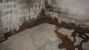 There are many varieties of bulkheads and bulkhead styles and the best solution for water infiltration is to stop the water from getting onto the floor of the basement. Basement Water In Old House The Money Pit