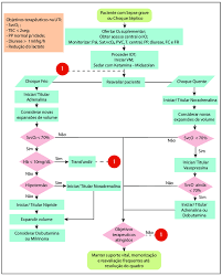 Sepsis causes a large percentage of the mortality and morbidity in intensive care units. Fluxograma De Tratamento Do Choque Septico Na Terapia Intensiva Download Scientific Diagram