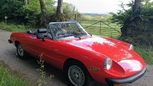 Image result for Rosso 1981 Alfa-Romeo