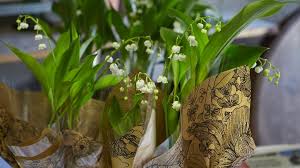 Cette plante avec ses clochettes immaculées symbolise l'arrivée des chaque 1er mai, la tradition veut que l'on offre un brin de muguet, symbole de la pureté absolue, de. Confinement La Fete Du Muguet Le 1er Mai Bien Compliquee Pour Les Fleuristes Stephanois