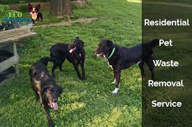 Yard waste removal in your area. Pin On Residential Pet Waste Removal Service Near Me