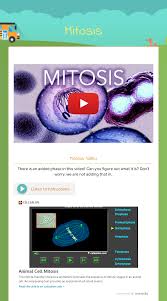 We will breakdown both mitosis and meiosis separately. Mitosis Interactive Worksheet By Kimberly Camilleri Wizer Me