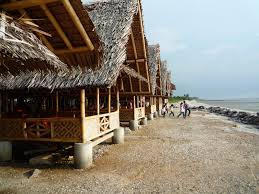 Malah, senarai di sini pun diperolehi kebanyakannya daripada mereka yang dalam perjalanan pergi atau pulang dari melihat serangga bercahaya itu. Lepak Normal Baru Hujung Minggu Ini Tarikan Best Di Kuala Selangor Libur
