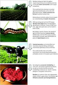 40 utar agriculture science journal l vol. Barcoding The Food Chain From Sanger To High Throughput Sequencing