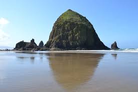 Marine Garden At Haystack Rock Review Of Haystack Rock