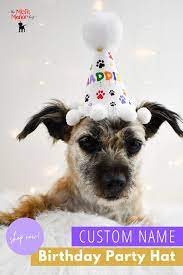 Personalized Dog Birthday Hats Dog Birthday Hat Dog Birthday Dog Party Hat