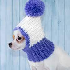 Warm And Cozy Dog Hat With Crochet Snood And Pompon A Knitted Dog Hat Is A Great Accessory For Your Little Loved One Made Crochet Dog Hat Dog Beanie Dog Hat