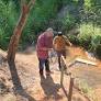 Mais de 50 famílias indígenas reassentadas no Paraná bebem água de riachos por falta de abastecimento em área comprada pela Itaipu
