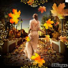 Der Herbst Geht Herbst Bilder Herbst Bilder
