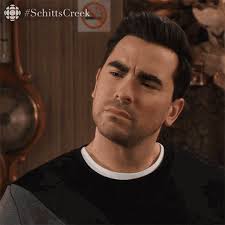 Why Would I Do That David GIF