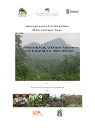 Image result for Sterculia subviolacea