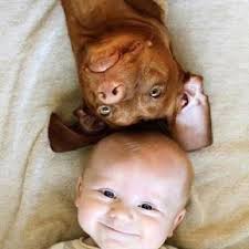 Children and Their Pets