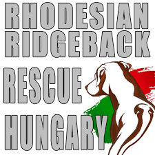 Maybe you would like to learn more about one of these? Rhodesian Ridgeback Rescue Hungary Startseite Facebook
