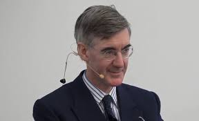 Jacob Rees-Mogg rules out local referendums