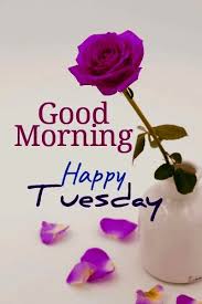 A beautiful day begins with a beautiful mindset. á… Top 29 Good Morning Tuesday Images Pictures Photos