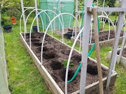 можно ли сажать помидоры по два в лунку видео Pin Na Doske Posadka Ovoshej