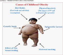 Image result for Obesity