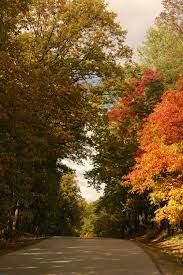 Brown County State Park Indiana State Parks Beautiful Places In America Nashville Indiana