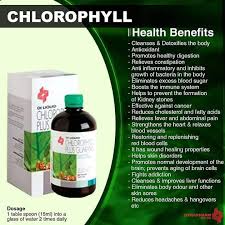 Researchers at oregon state university's linus pauling institute found no. Di Liquid Chlorophyll Dynapharm Health Products By Katlo Facebook