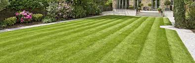 Think watering a lawn is simple? How And When To Water Your Lawn Love The Garden